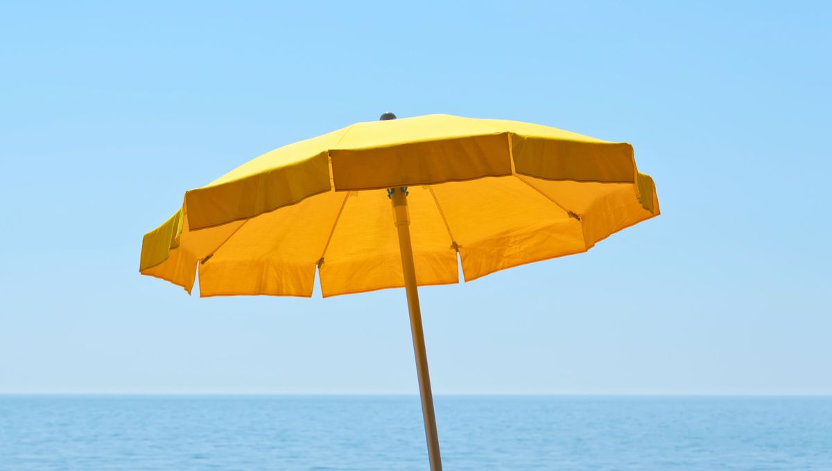 Con unos jeans viejos puedes coser muchas prendas nuevas y proyectos DIY.