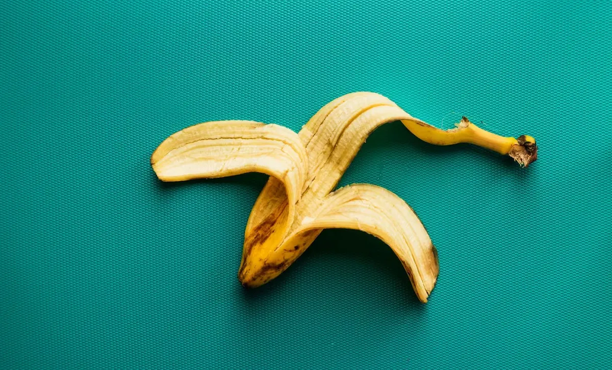 El tesoro de las cáscaras de plátano o banana