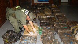 Un camionero fue condenado por llevar dos toneladas de marihuana Un camionero fue condenado por llevar dos toneladas de marihuana