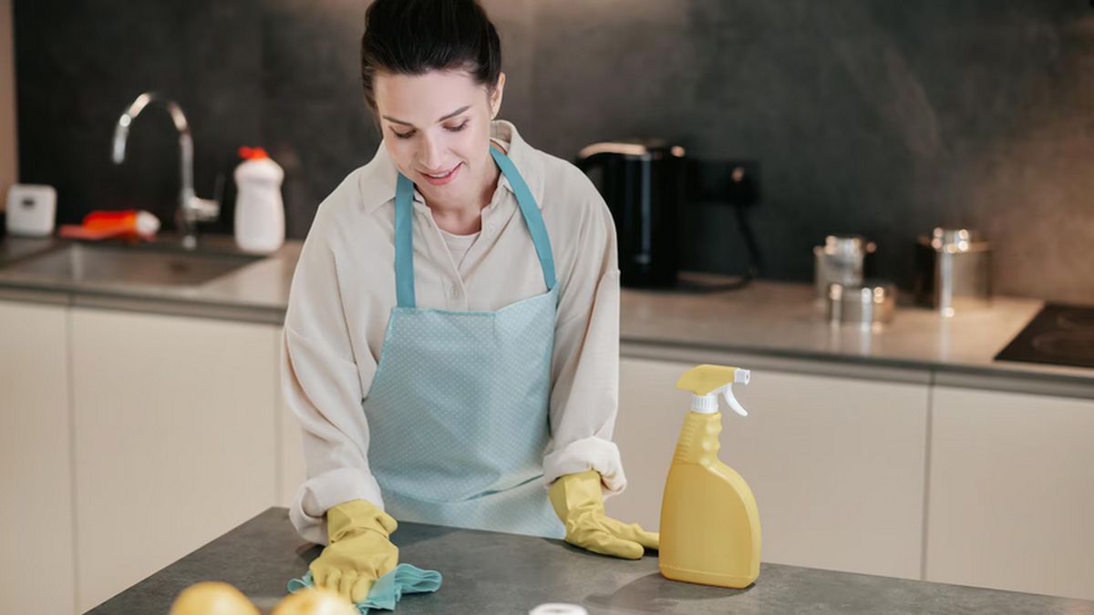 EMPLEADAS DOMÉSTICAS: cuánto será el AGUINALDO con el AUMENTO de junio 2024 EMPLEADAS DOMÉSTICAS: cuánto será el AGUINALDO con el AUMENTO de junio 2024