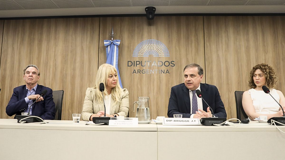 La Comisión de Asuntos Municipales de la Cámara de Diputados.