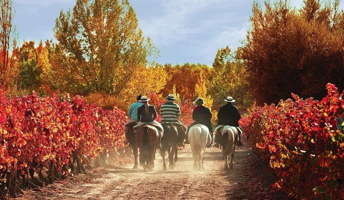 El enoturismo es uno de los grandes atractivos de Mendoza El enoturismo es uno de los grandes atractivos de Mendoza