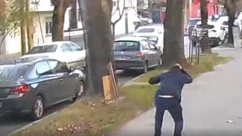 Insólito: la reacción de un hombre al ser atacado por un gavilán