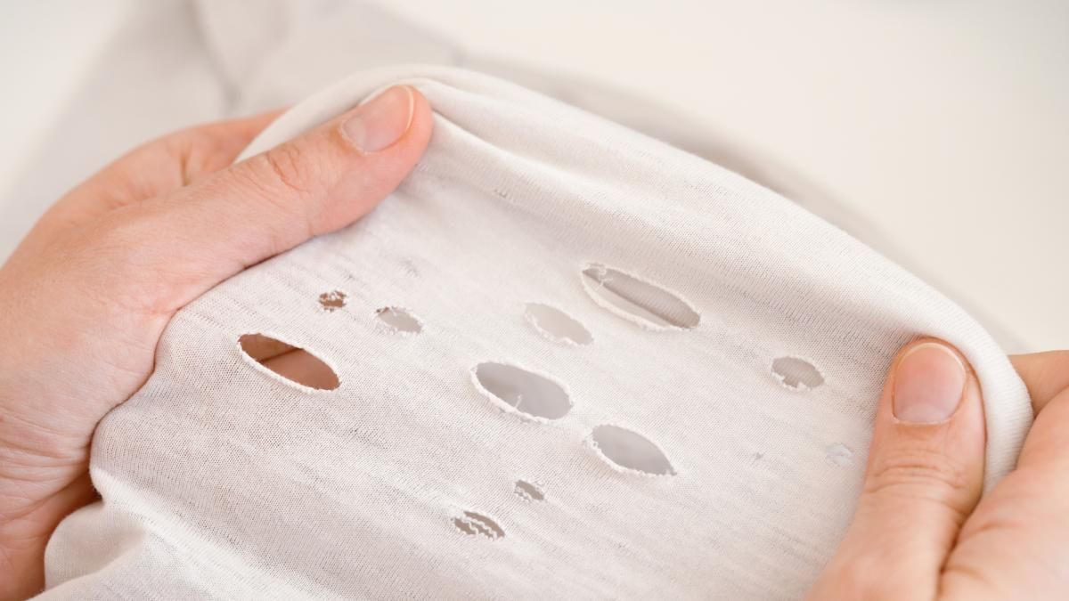 El truco casero para arreglar los agujeros en la ropa de forma definitiva El truco casero para arreglar los agujeros en la ropa de forma definitiva