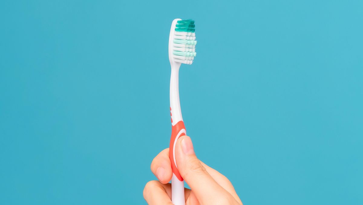 El sector colorido del cepillo sirve para medir la cantidad de pasta dental. El sector colorido del cepillo sirve para medir la cantidad de pasta dental.