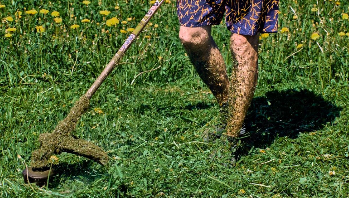 No debes cometer este error cuando retomes la tarea de cortar el césped.&nbsp;