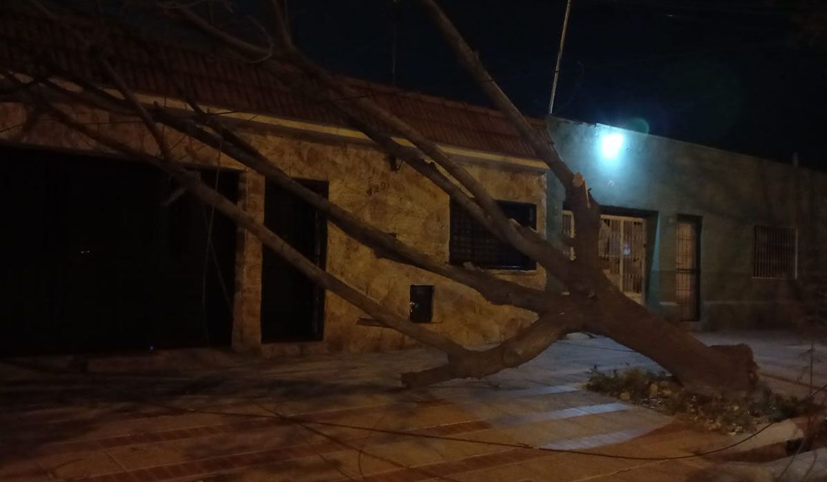 Las postales que dejó el viento Zonda en Mendoza. Las postales que dejó el viento Zonda en Mendoza.