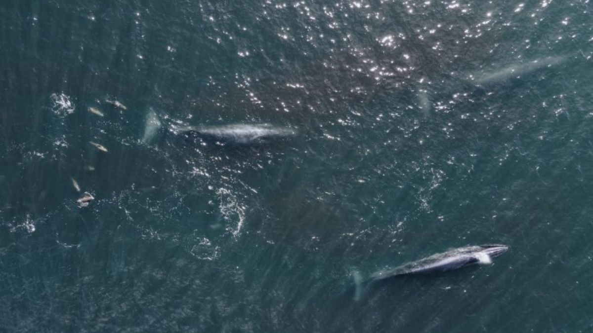 Foto: Diego Cabanas Foto: Diego Cabanas