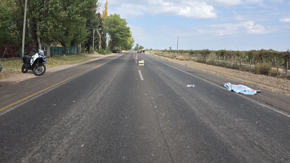 La mujer que fue atropellada por un auto en San Martín tenía 32 años. La mujer que fue atropellada por un auto en San Martín tenía 32 años.
