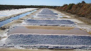 Holanda busca generar energía con agua salada