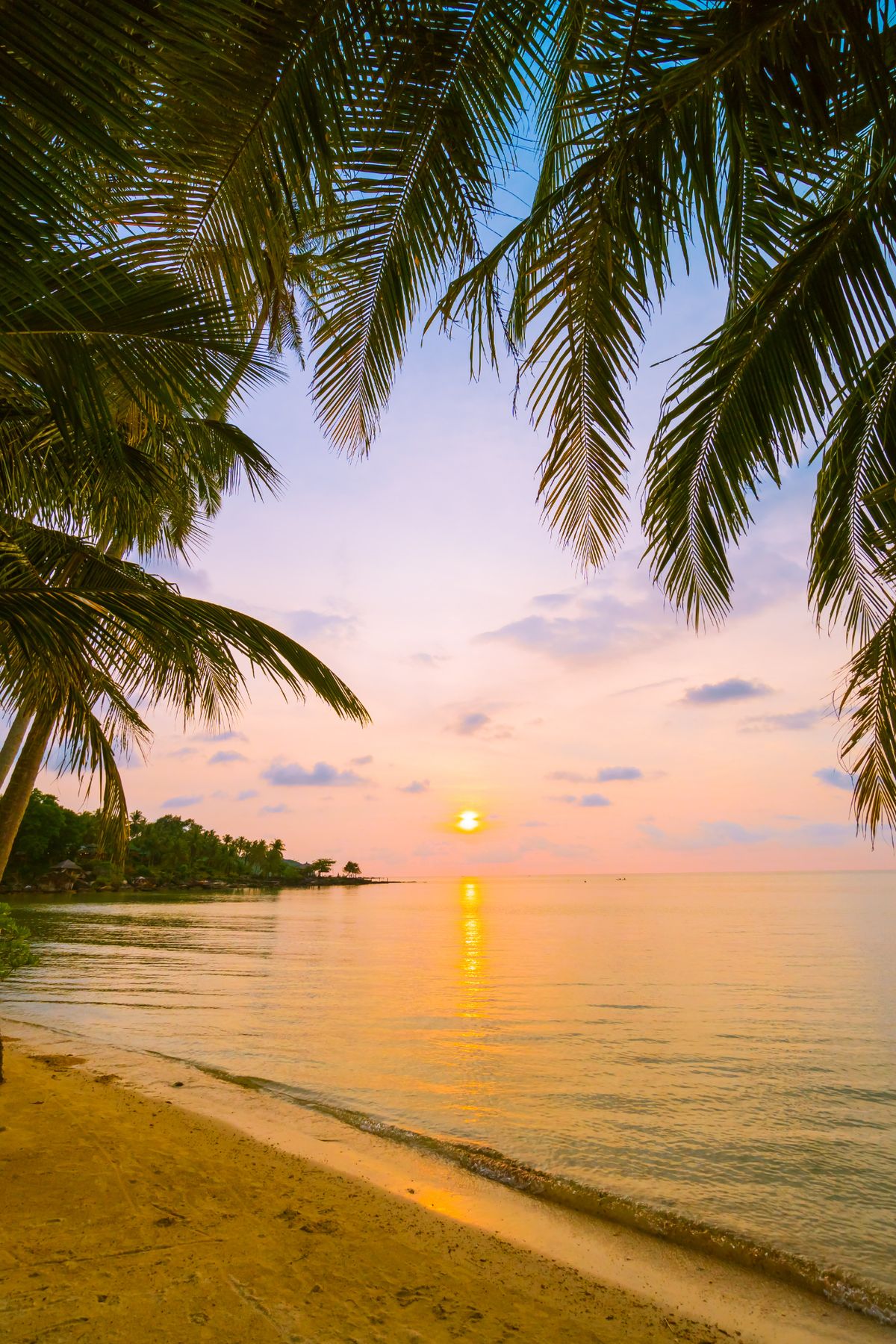 Si quieres conocer el Caribe con buen clima tienes que viajar durante la estación seca. Imagen: Freepik. Si quieres conocer el Caribe con buen clima tienes que viajar durante la estación seca. Imagen: Freepik.