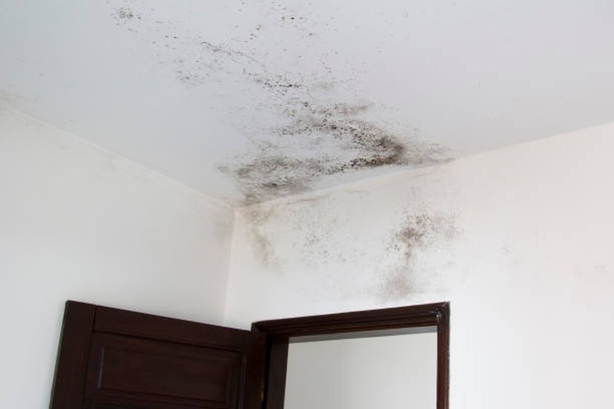 Ponele fin a la humedad de tu hogar con este truco. Ponele fin a la humedad de tu hogar con este truco.