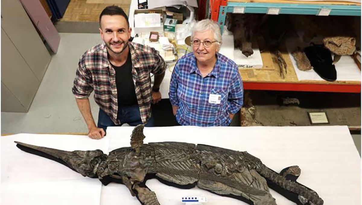 El descubrimiento de una milenaria especie que sorprendió a los especialistas en Europa