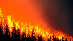 Toma las medidas necesarias para cuidarte de los incendios
