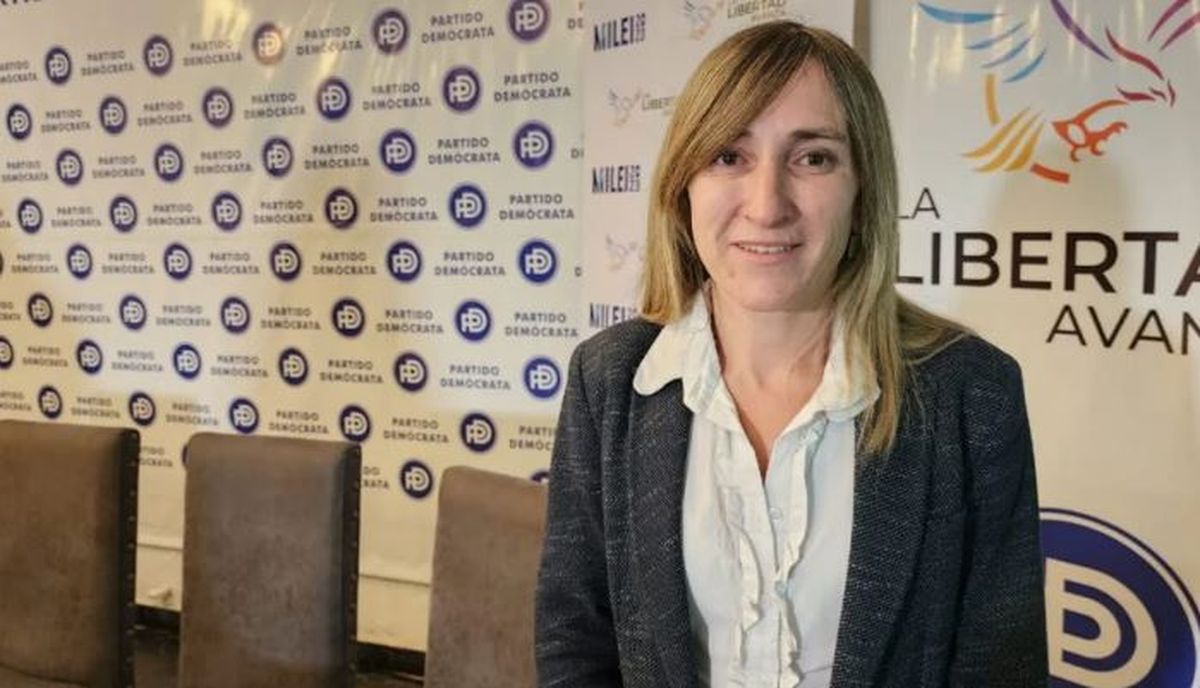 Mercedes Llano pidió exámenes psicológicos para aspirantes a cargos electivos, a presidente y a vice
