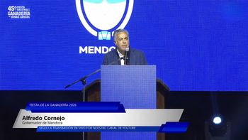 Cornejo ratificó su apoyo al plan económico de Milei y apostó por el sector privado Cornejo ratificó su apoyo al plan económico de Milei y apostó por el sector privado