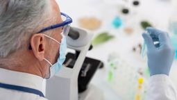 La inflamación silenciosa que puede acelerar el envejecimiento. Crédito: Freepik.