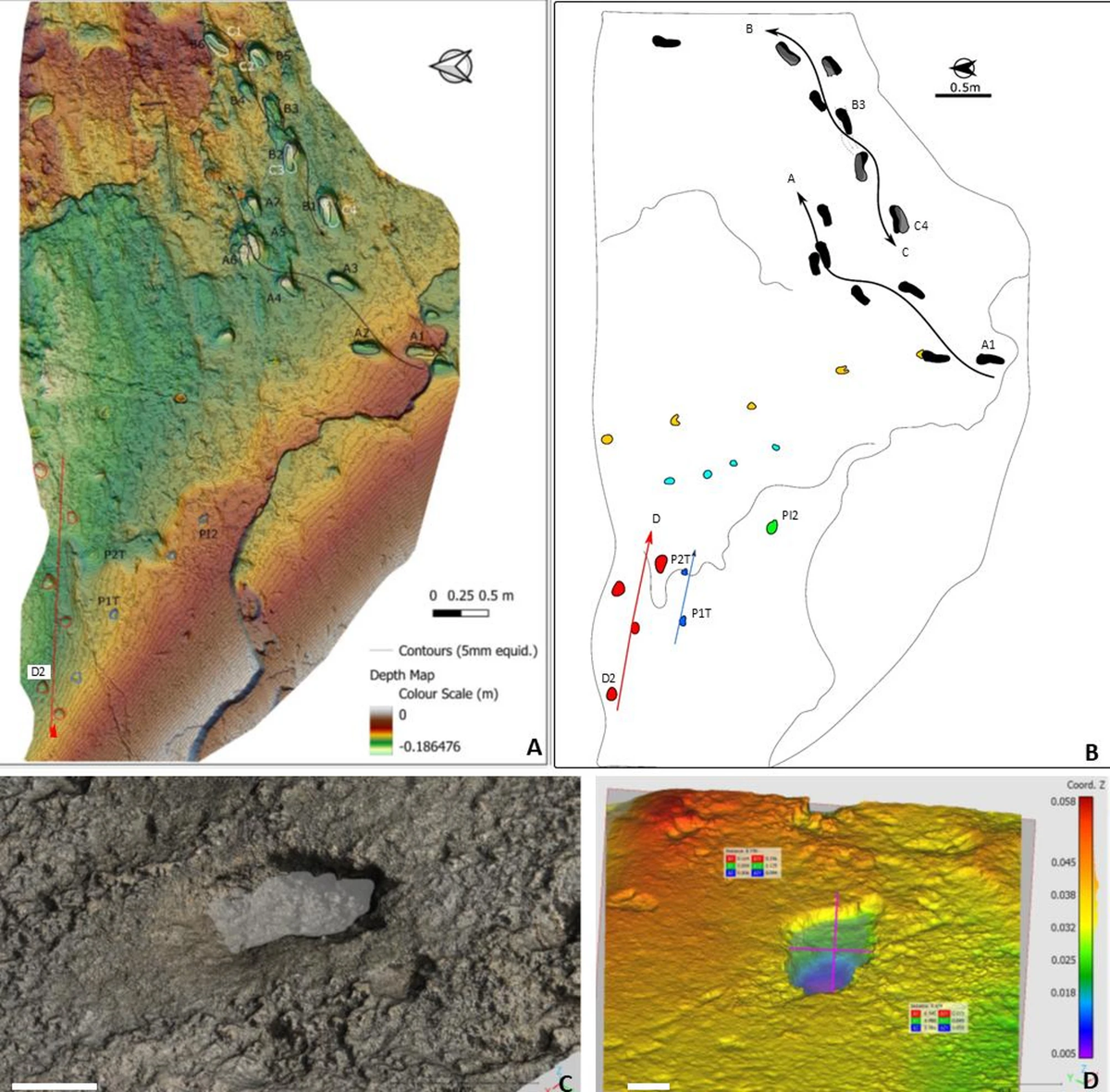 El descubrimiento fue estudiado en profundidad por científicos. El descubrimiento fue estudiado en profundidad por científicos.