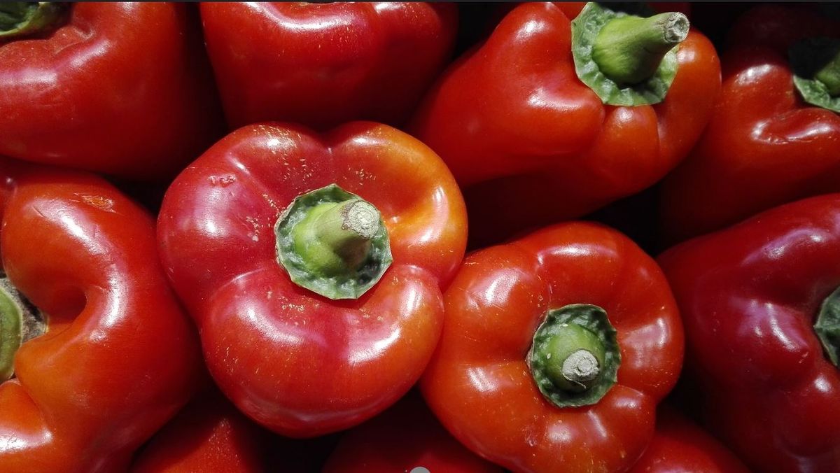 Beneficios y propiedades de comer pimientos morrones