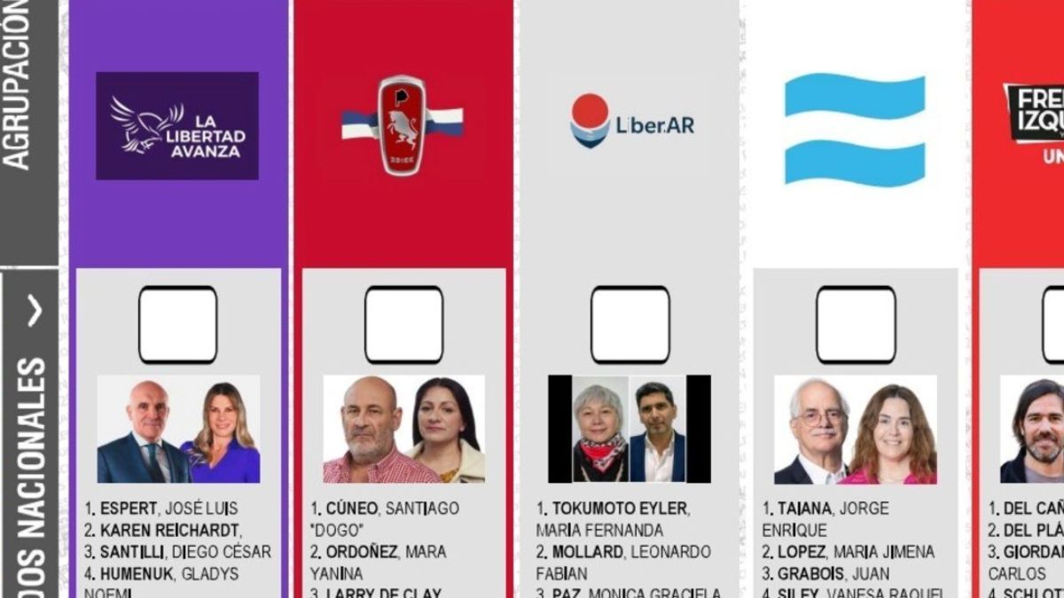 Elecciones: el fiscal electoral se opone a la reimpresión de la boleta con la cara de Diego Santilli