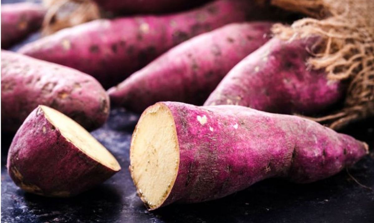 Beneficio de comer camote.