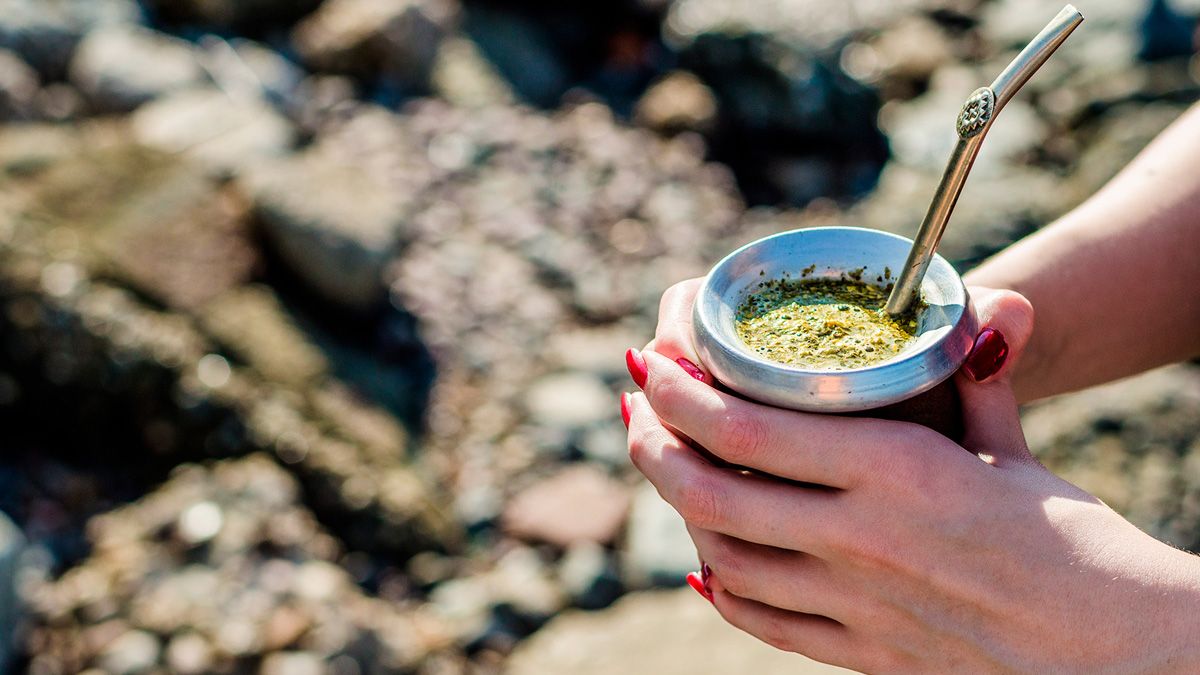 Un estudio de profesionales de la Universidad Nacional de Córdoba confirmó los beneficios de tomar mate durante la lactancia Un estudio de profesionales de la Universidad Nacional de Córdoba confirmó los beneficios de tomar mate durante la lactancia