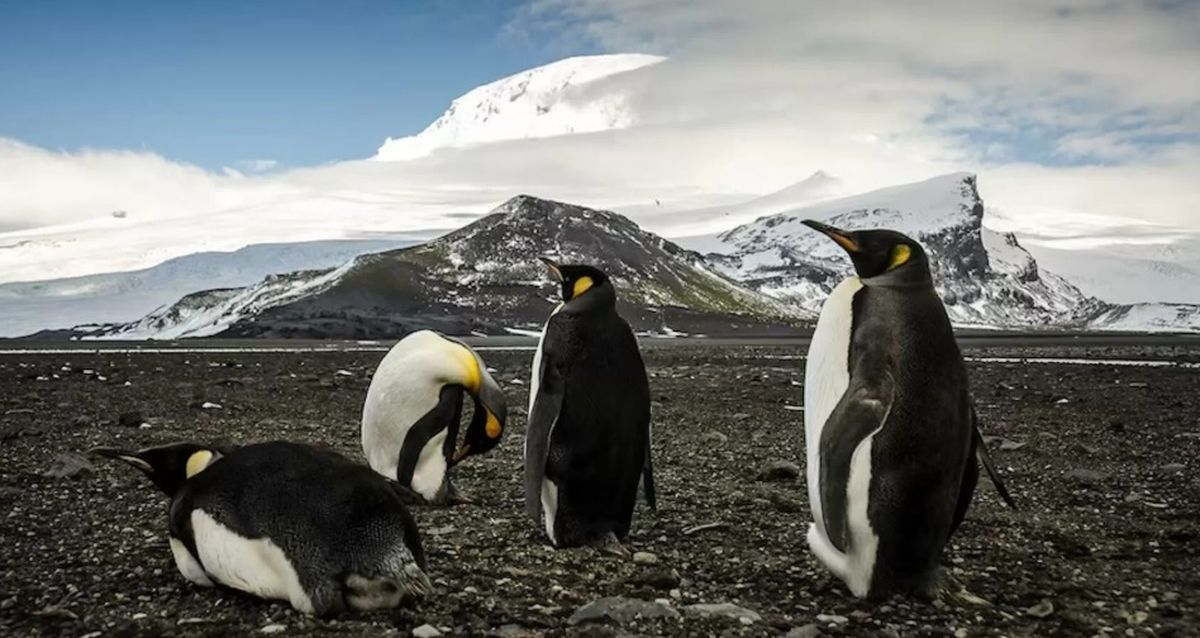 Es una isla deshabitada por seres humanos. Es una isla deshabitada por seres humanos.
