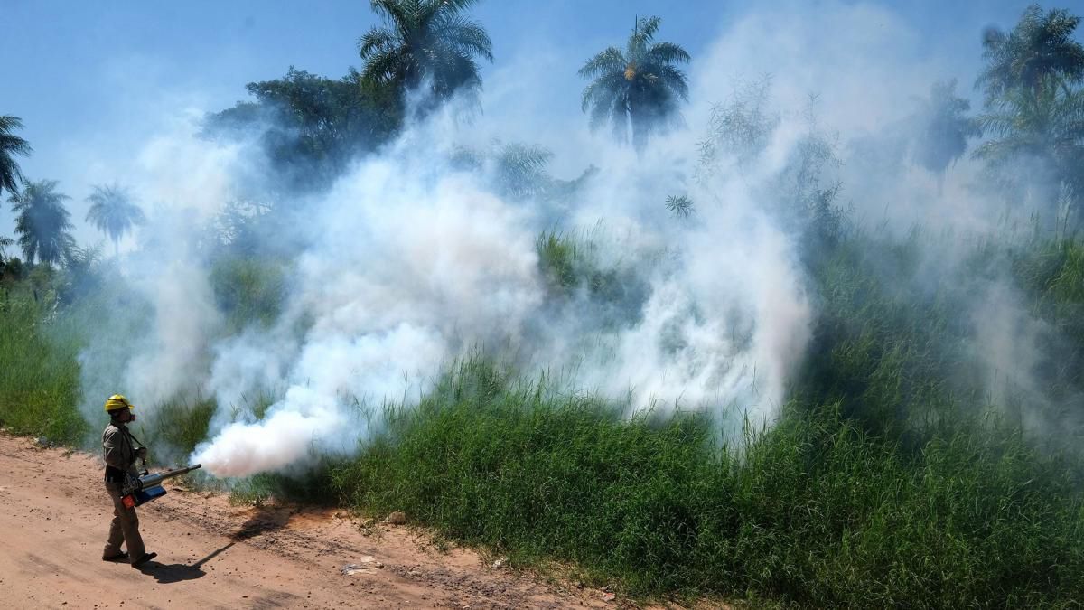 Las fumigaciones son una solución parcial al problema del dengue. Las fumigaciones son una solución parcial al problema del dengue.