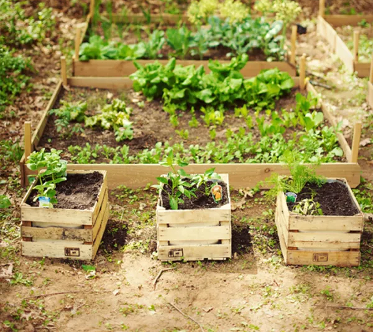 Reciclaje: esto podés hacer con cajones de madera. Reciclaje: esto podés hacer con cajones de madera.