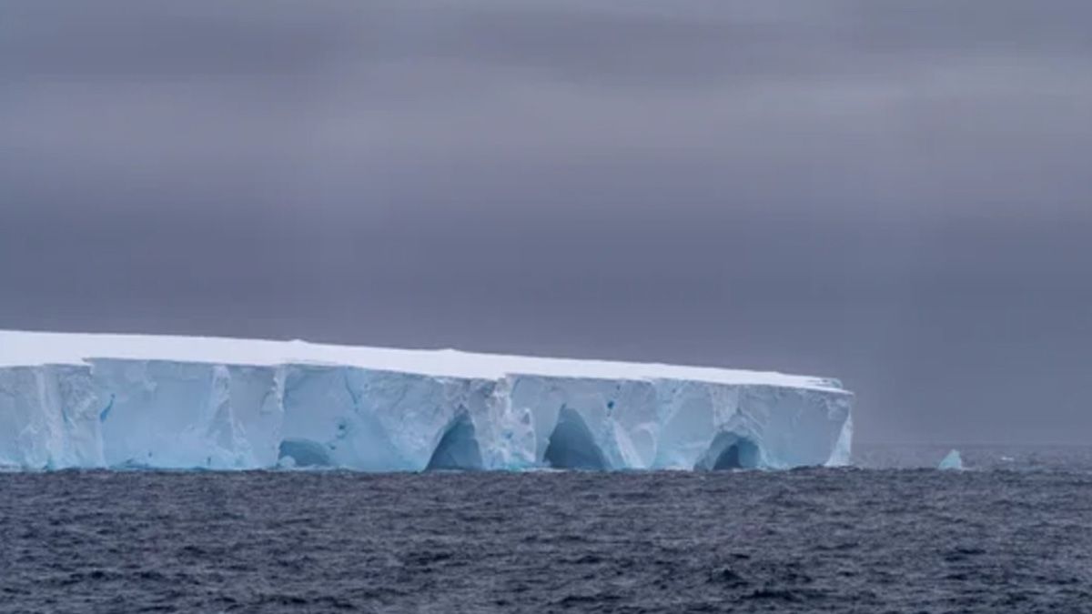 Una gran isla helada navega desde la zona artártica hacia aguas más cálidas y buscan establecer que impacto tendrá en el ecosistema local Una gran isla helada navega desde la zona artártica hacia aguas más cálidas y buscan establecer que impacto tendrá en el ecosistema local