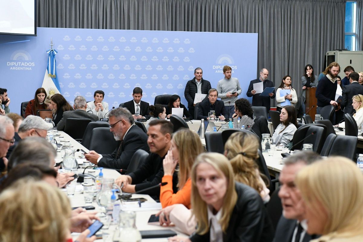 En los proyectos presentados este martes, un libertario mendocino pidió bajar a 12 años la edad de imputabilidad; el radicalismo a 14 y el PJ sostenerla en 16. En los proyectos presentados este martes, un libertario mendocino pidió bajar a 12 años la edad de imputabilidad; el radicalismo a 14 y el PJ sostenerla en 16.