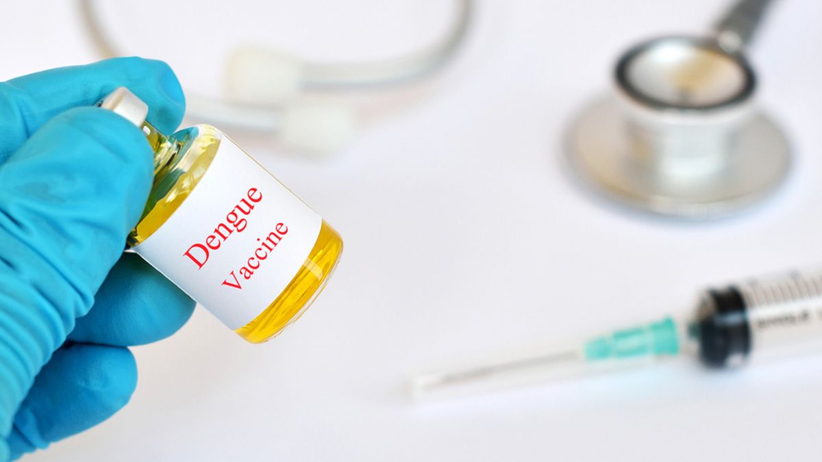 Vacunas contra el dengue: ¿cuáles son y qué hay en Argentina?