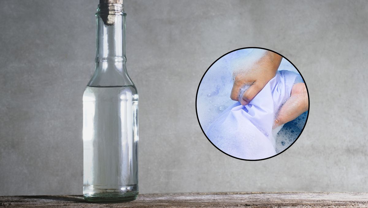 El vinagre tiene que estar tibio, no caliente. La temperatura es importante para que el pegamento se ablande. El vinagre tiene que estar tibio, no caliente. La temperatura es importante para que el pegamento se ablande. 