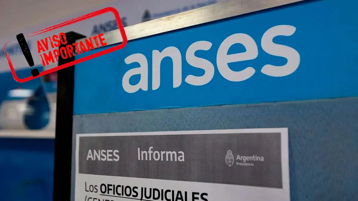 ANSES confirmó dos bonos extras para AUH y AUE en agosto 2024