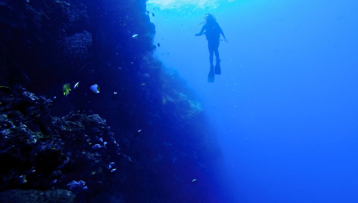 Aunque el planeta Tierra está cubierto en aproximadamente un 70% por agua, más del 80% del océano permanece sin explorar. Aunque el planeta Tierra está cubierto en aproximadamente un 70% por agua, más del 80% del océano permanece sin explorar.