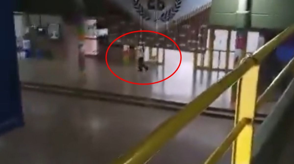 El crimen ocurrió en una escuela de Santa Fe.