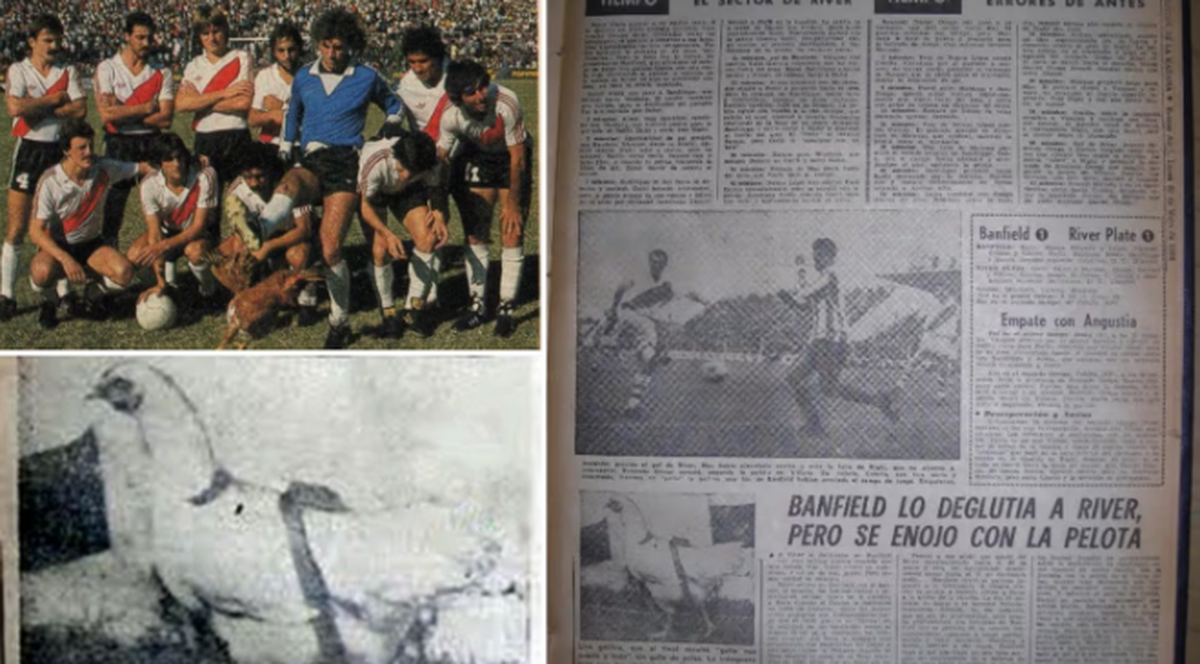 El equipo de River, la publicación en Crónica y la gallina famosa. / archivo El equipo de River, la publicación en Crónica y la gallina famosa. / archivo