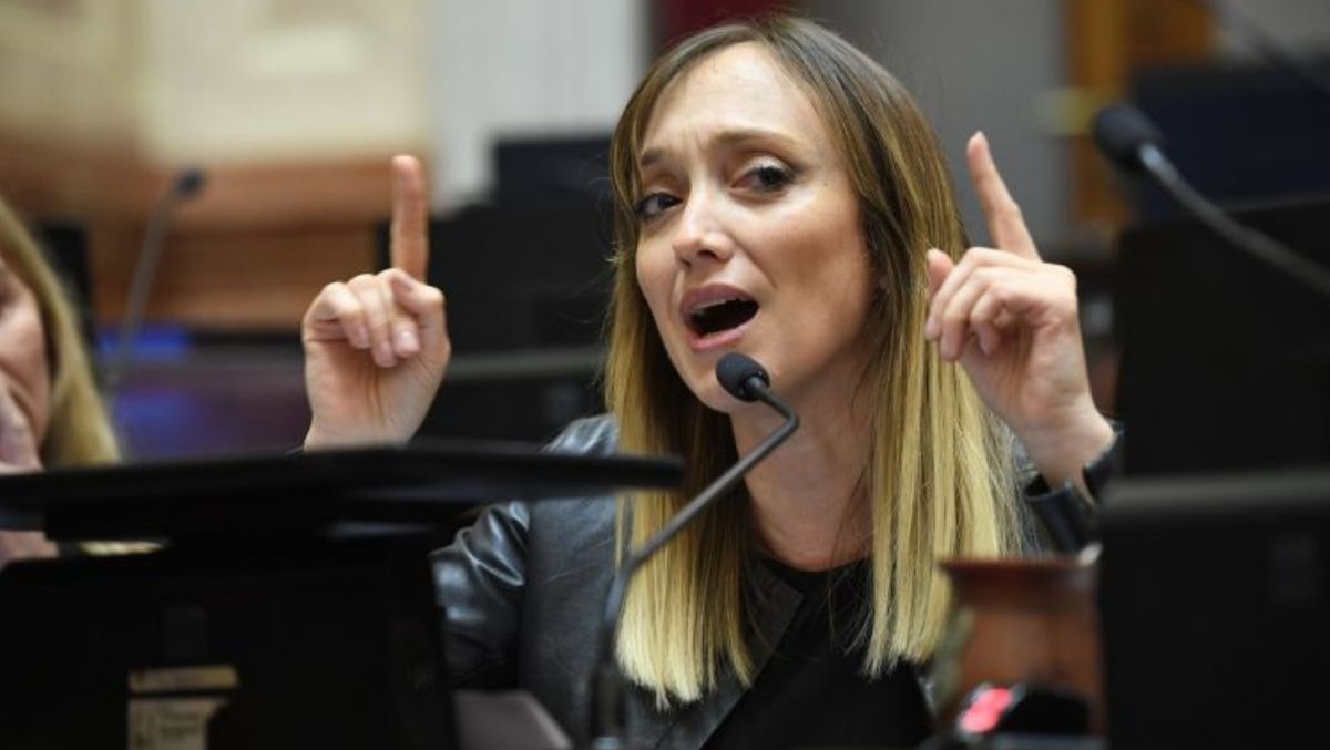 Anabel Fernández Sagasti votó en contra del proyecto de Ficha Limpia.