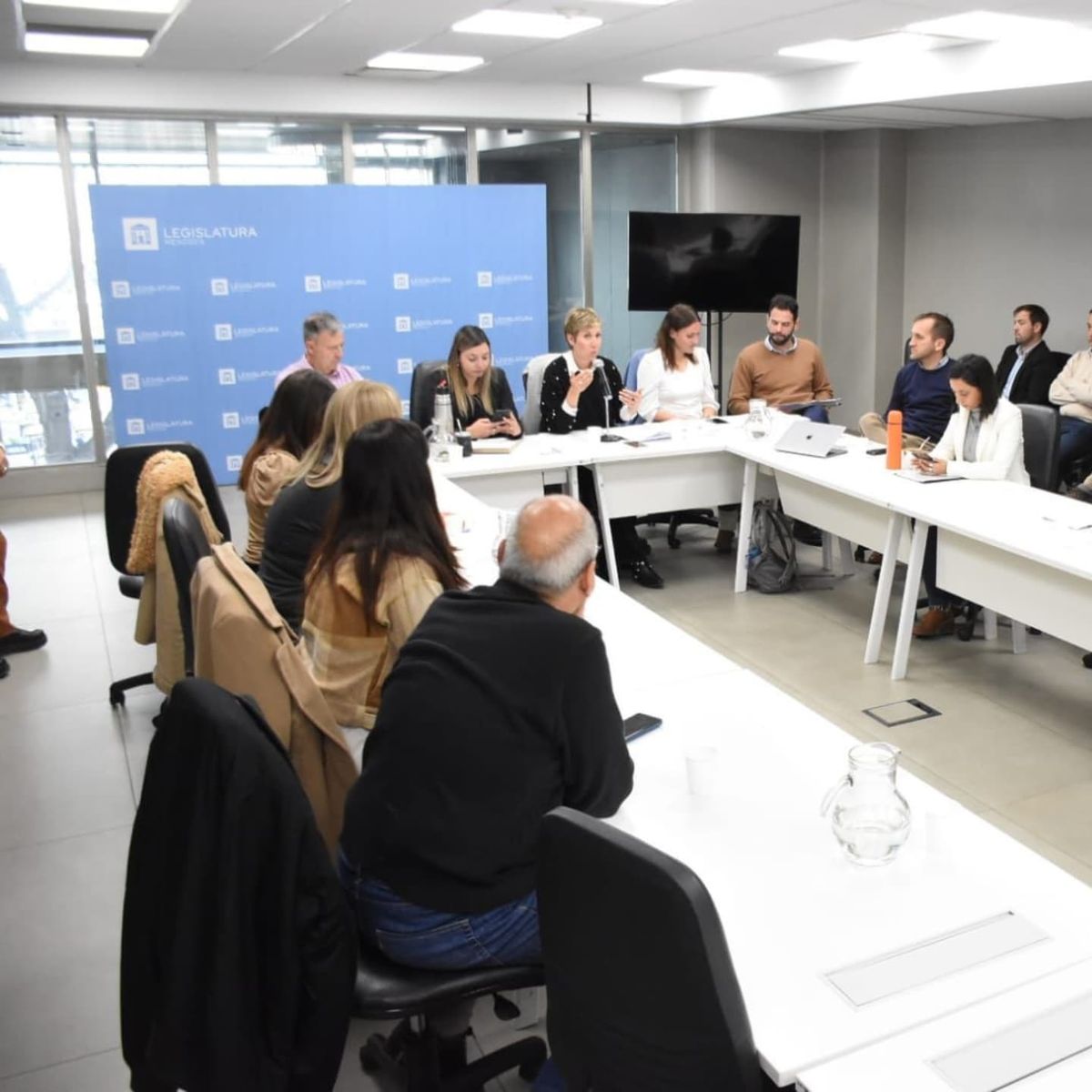 Senadores escuchan a la ministra Jimena Latorre. Esto fue el lunes. Senadores escuchan a la ministra Jimena Latorre. Esto fue el lunes.