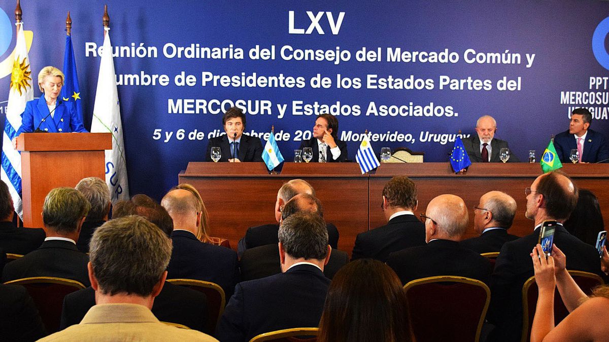 En El Acuerdo Mercosur-Unión Europea Se Incluyó Quita De Aranceles Para ...