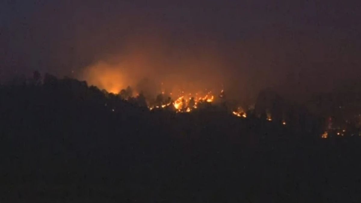 Foto: Bomberos de Córdoba Foto: Bomberos de Córdoba