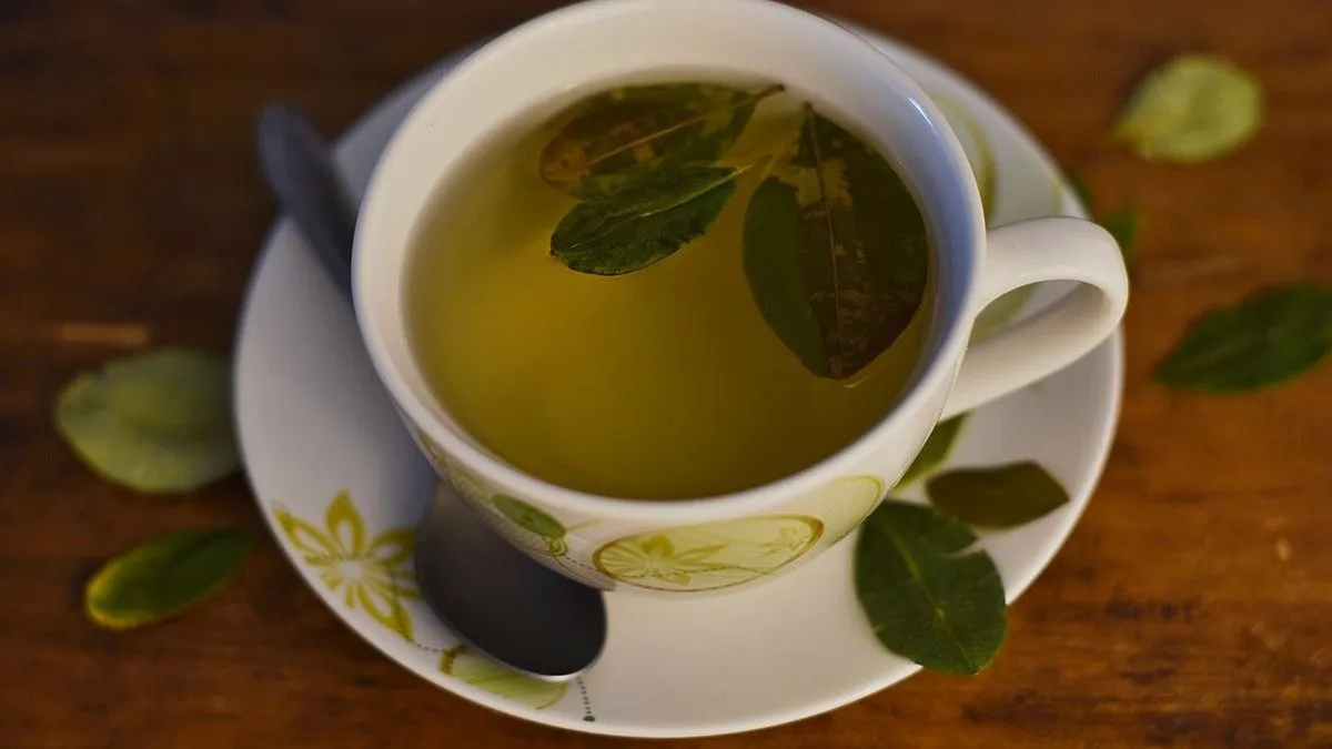 Beneficio de tomar mate cocido