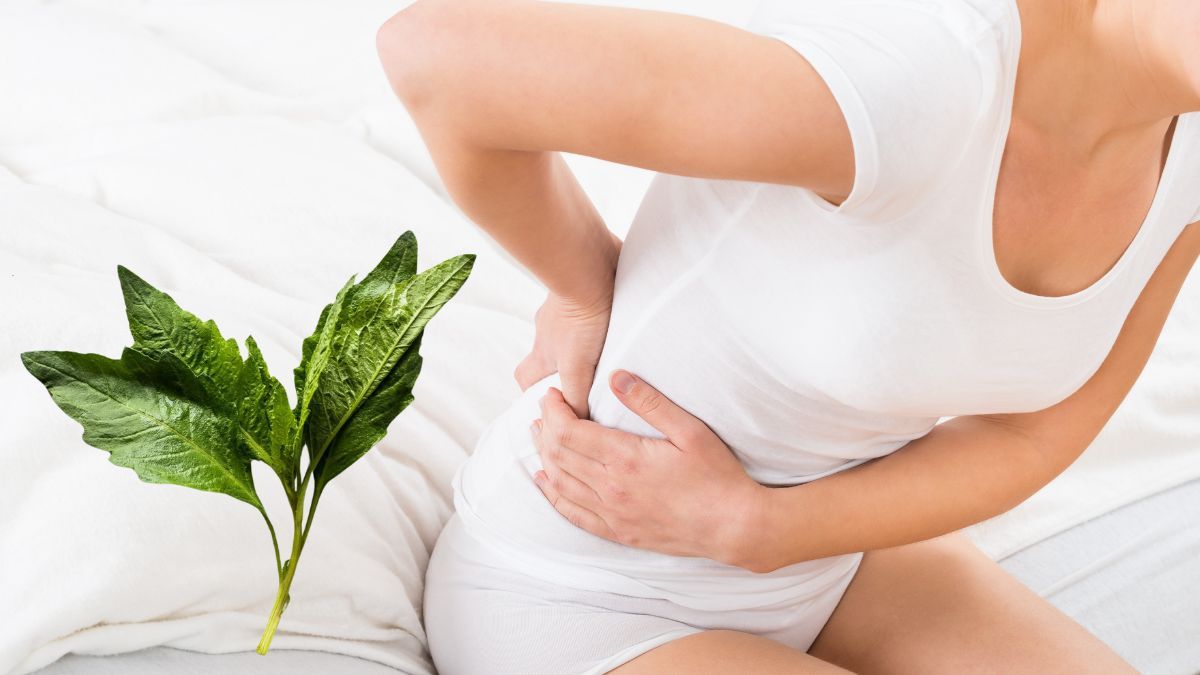 La hierba que contiene vitamina A