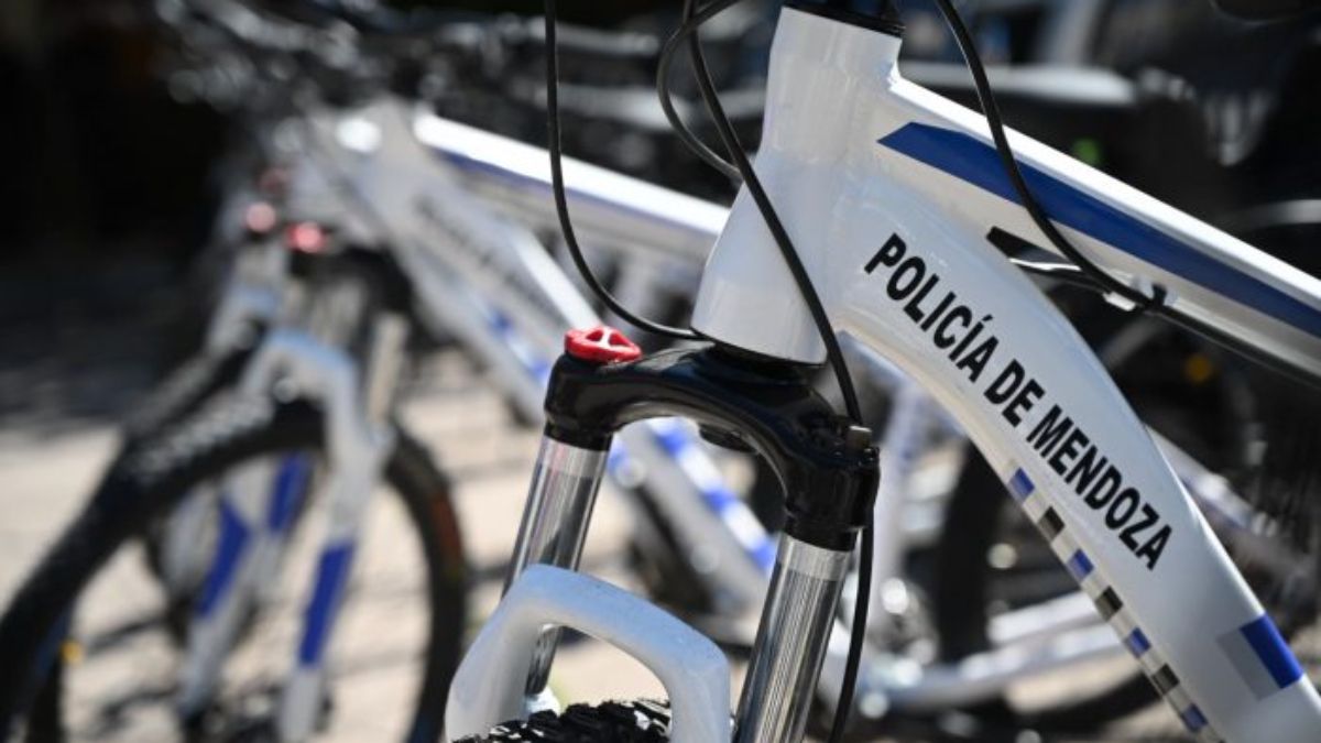 Agentes de la Unidad Ciclista de Acción Rápida de la Policía de Mendoza acudieron a un llamado al 911 por un caso de violencia de género y en el domicilio encontraron un vivero de cannabis.