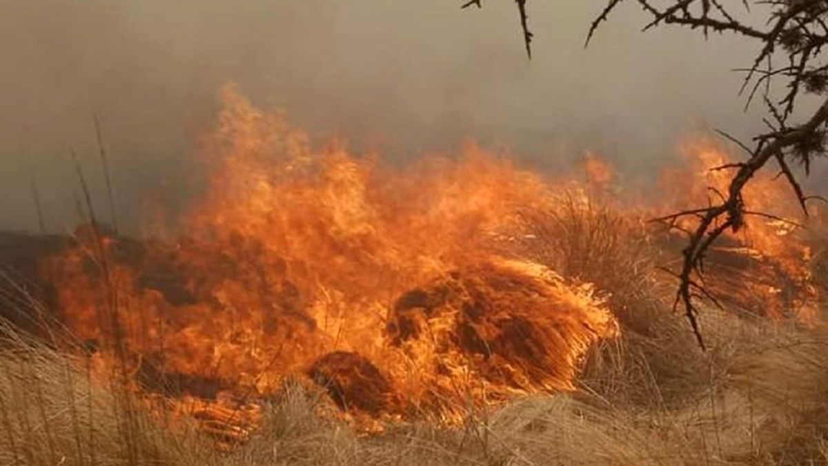 Quedó prohibido el uso de fuego en los parques nacionales mencionados desde diciembre y hasta el 30 de abril para evitar incendios forestales. Quedó prohibido el uso de fuego en los parques nacionales mencionados desde diciembre y hasta el 30 de abril para evitar incendios forestales.