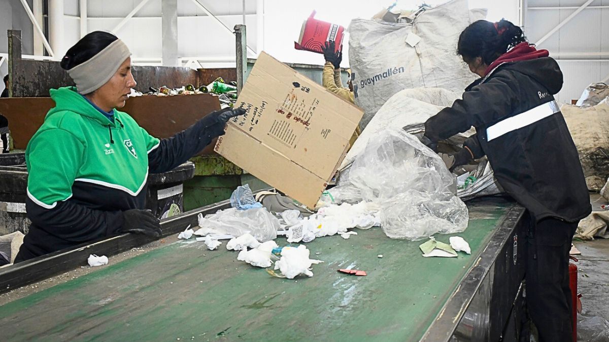 Más de la mitad de las personas que se capacitan para hacer reciclaje urbano son mujeres que mantienen a sus familias. Más de la mitad de las personas que se capacitan para hacer reciclaje urbano son mujeres que mantienen a sus familias.