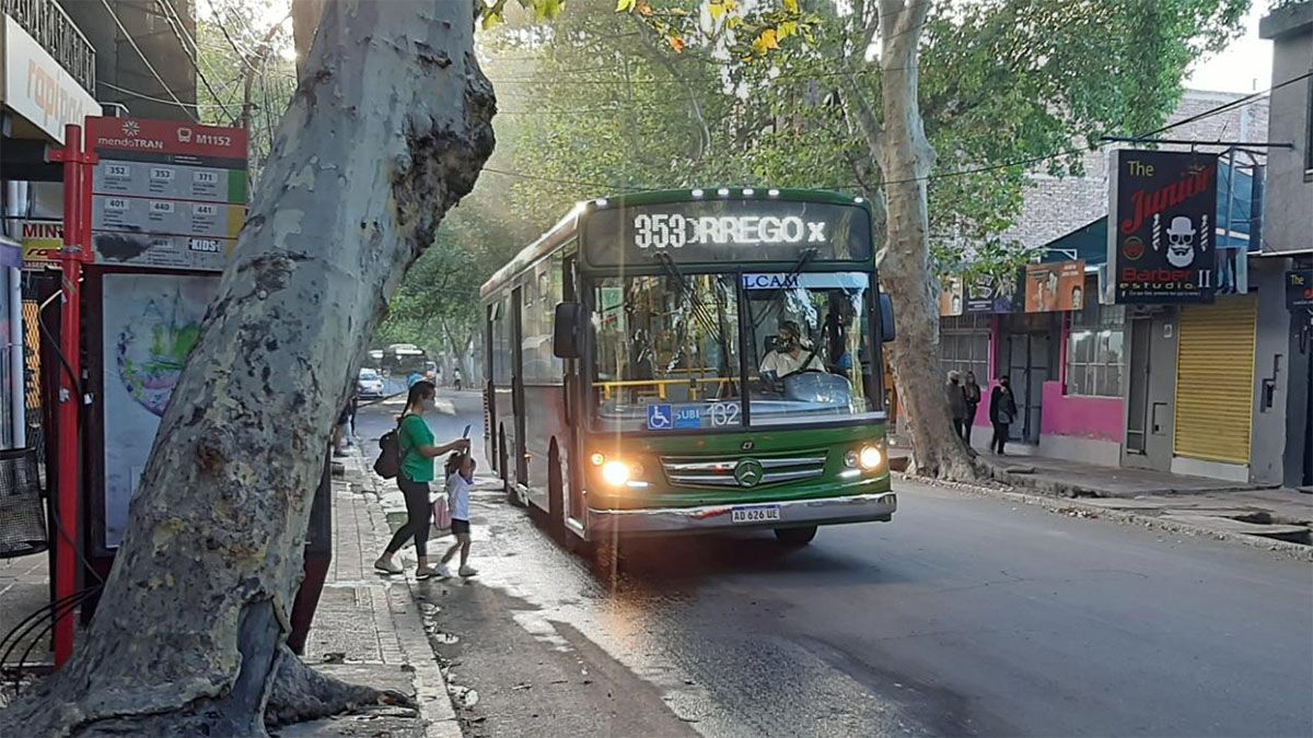 Aseguraron que los colectivos circulan con una ocupación del 80%