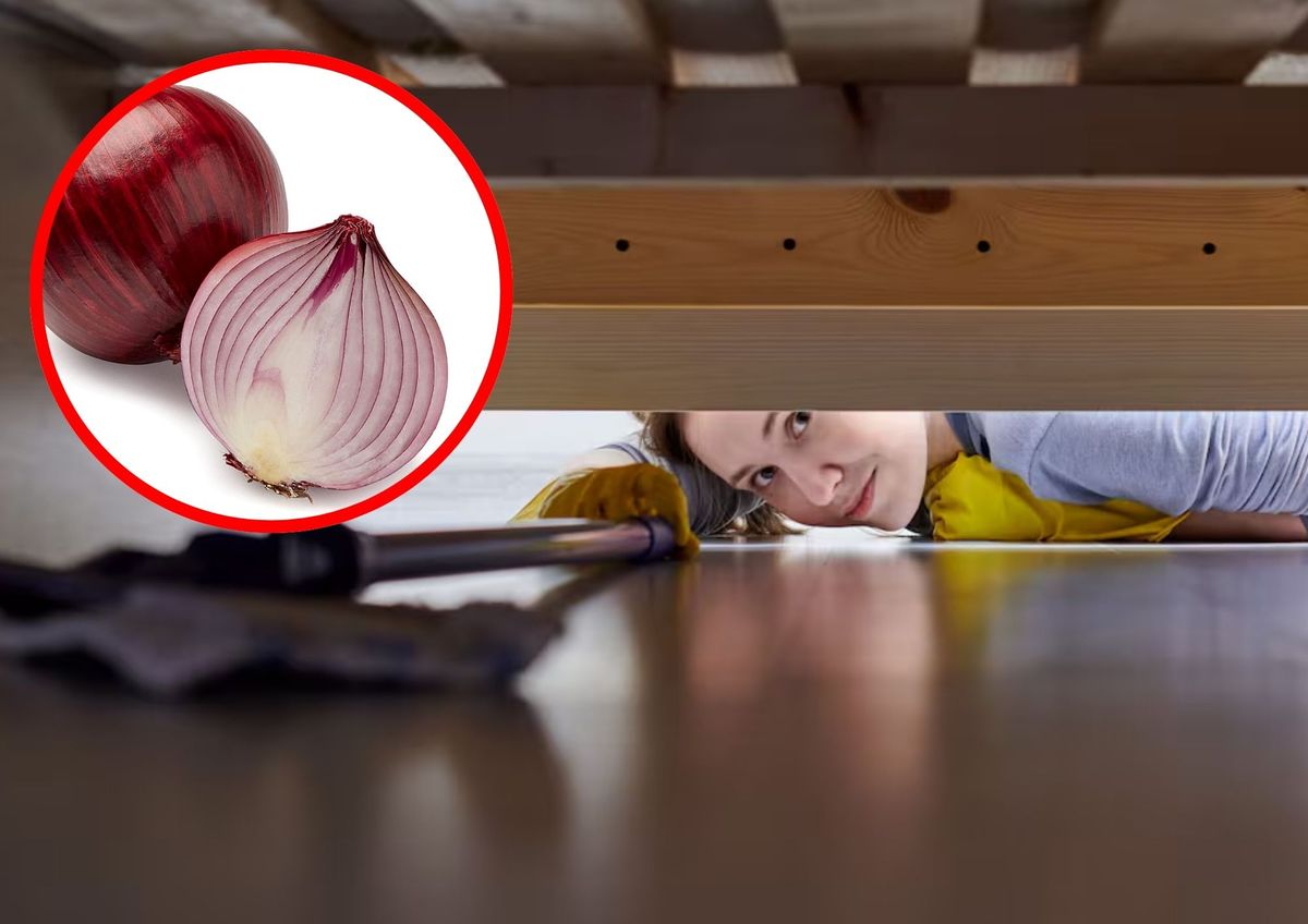 Cuáles son los beneficios de las cebollas para la salud