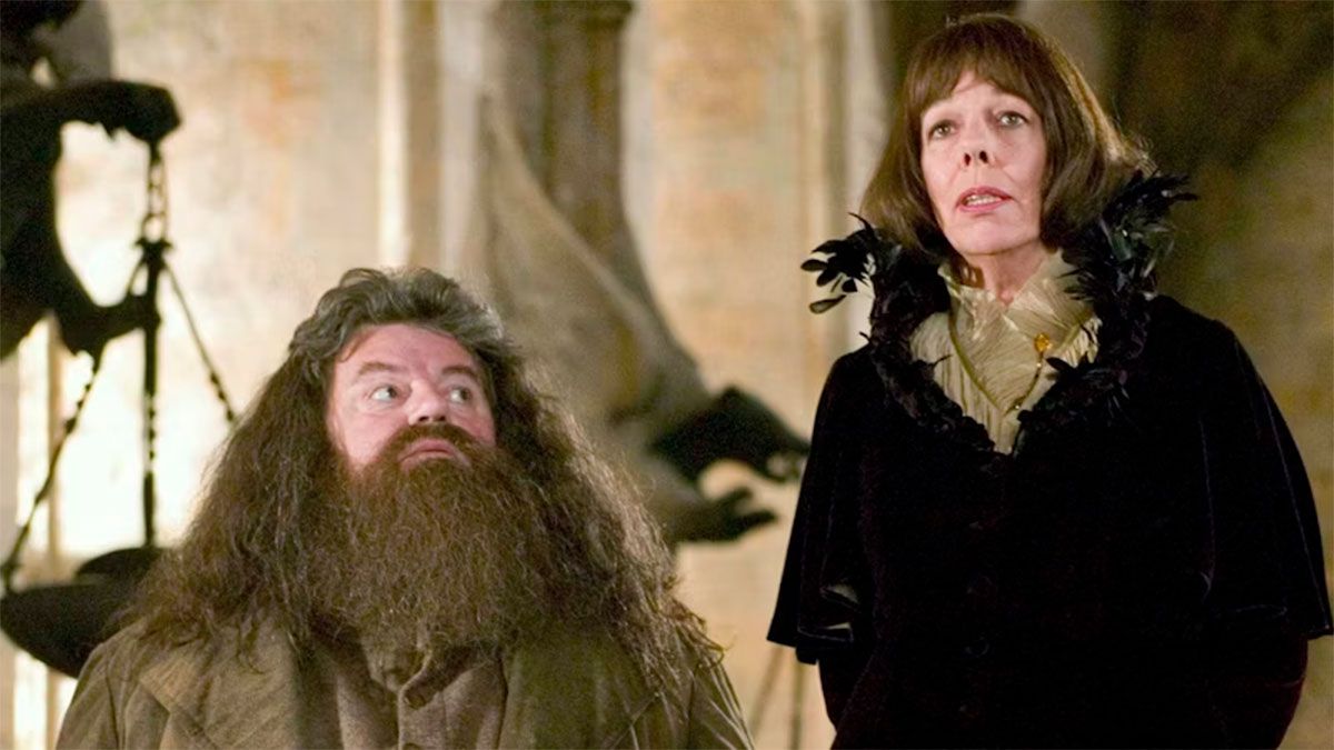 A casi 19 años de su estreno, así luce la actriz que hizo de "gigante" en Harry Potter y el cáliz de fuego A casi 19 años de su estreno, así luce la actriz que hizo de "gigante" en Harry Potter y el cáliz de fuego