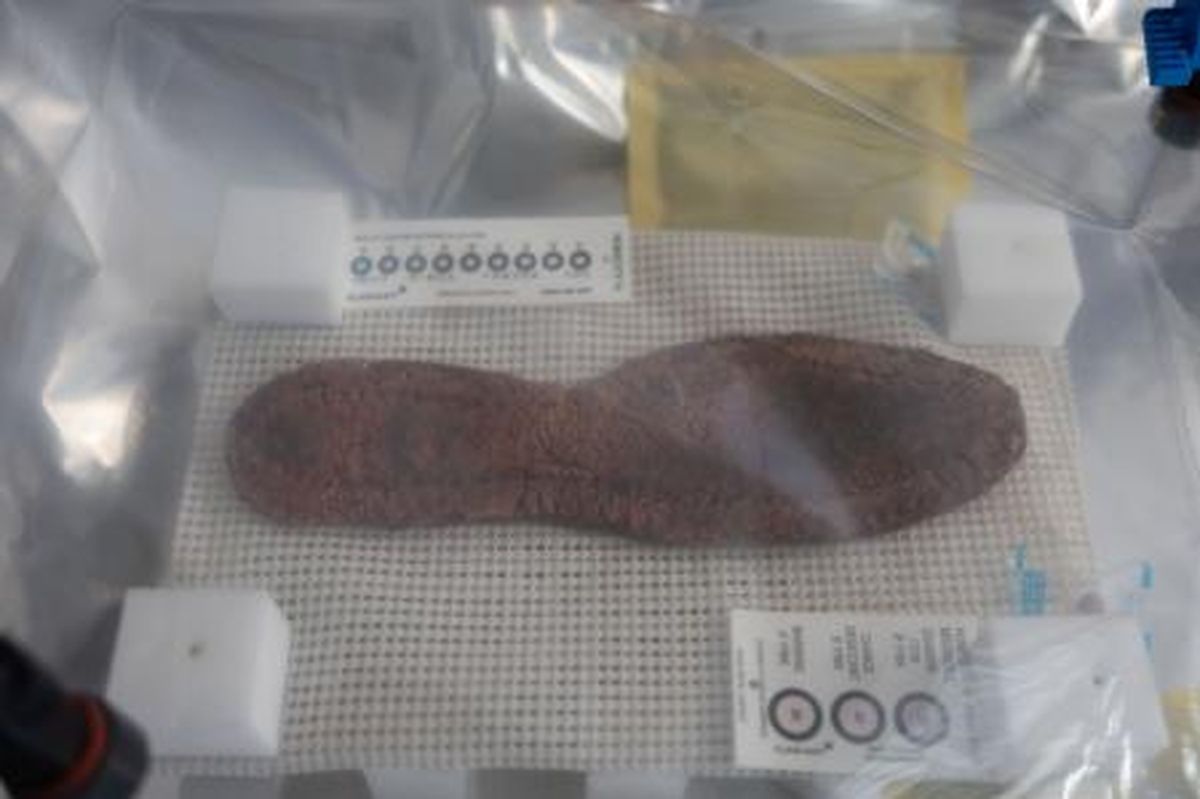 El método de conservación protegerá al artefacto hallado. El método de conservación protegerá al artefacto hallado.